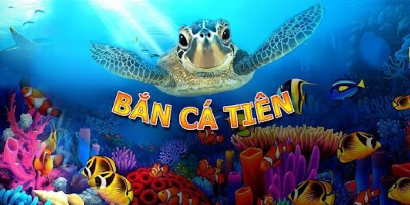 Bắn Cá Tiên - Ưu Điểm Nổi Bật Khi Chơi Tại Shbet Là Gì? 12 Tổng hợp thông tin chung về game bắn cá tiên