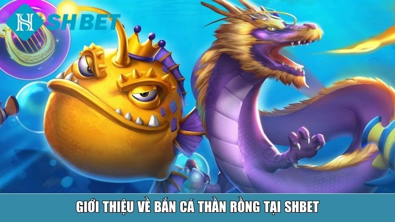 Bắn Cá Thần Rồng – Trải Nghiệm Săn Cá Đỉnh Cao Tại Nhà Cái SHBET 2 Giới thiệu về bắn cá Thần rồng tại SHBET