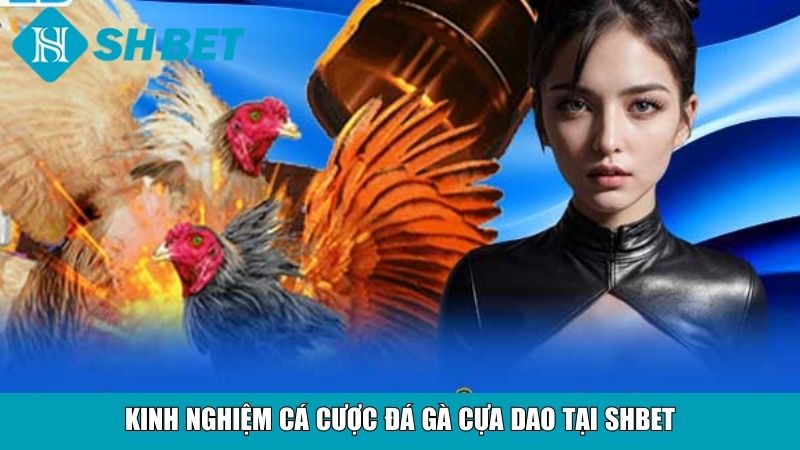 Đá Gà Cựa Dao SHBET – Trải Nghiệm Cá Cược Trực Tuyến Đỉnh Cao 10 Kinh nghiệm cá cược đá gà cựa dao tại SHBET