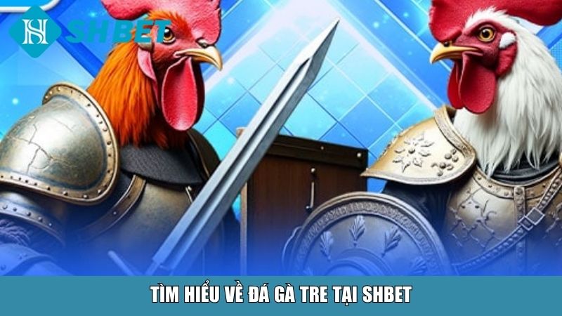 Đá Gà Tre Tại SHBET – Trải Nghiệm Chiến Kê Thần Thoại 2 Tìm hiểu về đá gà tre tại SHBET