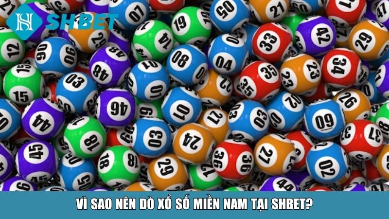 Cách Dò Xổ Số Miền Nam Chuẩn Xác Và Nhanh Nhất Tại Nhà Cái SHBET 4 Vì sao nên dò xổ số miền Nam tại SHBET?